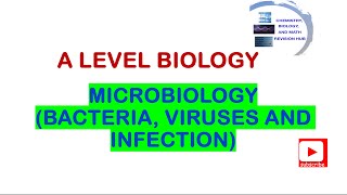 A level  Biology  Topic 6A  Microbiology  Pearson Edexcel [upl. by Anawd]