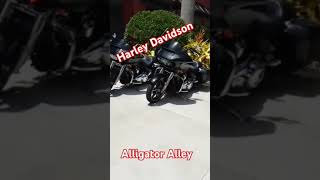 Harley Davidson at alligator Alley 😎 [upl. by Ariaet]