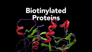 RampD Systems Biotinylated Proteins [upl. by Parlin371]