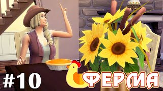 Балуемся плюшками  The Sims 4  Ферма 10 [upl. by Meares8]