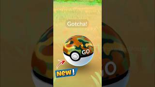 1st time Using SAFARI BALL in Pokemon GO [upl. by Rehpatsirhc588]