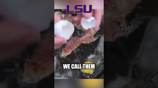 No one has a better tasting college football tailgate than LSU 🤤 shorts [upl. by Eiro]