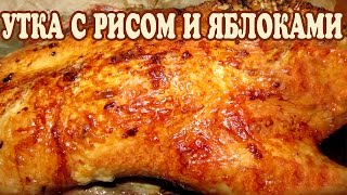 Рождественская утка с рисом и яблоками Утка с яблоками рецепт [upl. by Sellihca923]