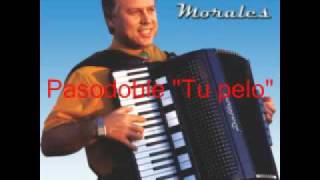 Pasodobles en acordeon Luis Morales [upl. by Willin]