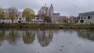 Oudenaarde wandeling langs de Schelde [upl. by Landri6]