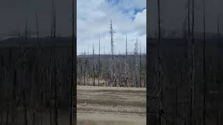 Whats left of Tweedsmuir Provincial Park Bella Coola Hwy 20 BC 🇨🇦 [upl. by Naelcm]