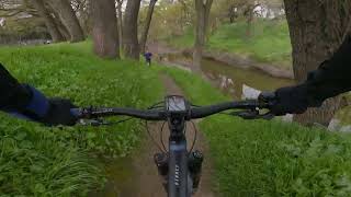 Dry Creek  Gallo Trail MTB ride with PNW Loam Carbon Handlebar [upl. by Coralyn230]