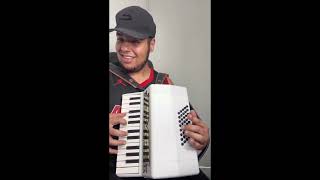 Tocando No Acordeon MIDI  Solo 60 Dias Apaixonados [upl. by Sherborne]