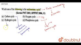 Which one of the following is the sedimentary cycle [upl. by Anselmo]