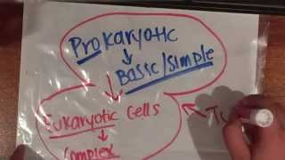 Khan Acadamy Endosymbiosis Theory [upl. by Affra]