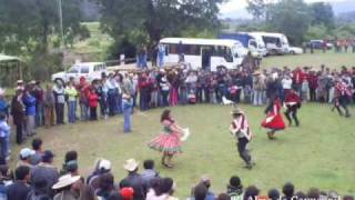 Cayucupil un valle de ensueño  Hector Fernández y Grupo [upl. by Nanek]