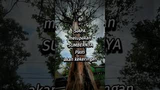 SubhanallahSenantiasa ingat pada Maha Pengasih dan Penyayang music love [upl. by Anyek]