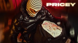 Kam Prada  Pricey Official Lyric Video [upl. by Veedis]