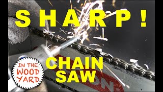 How to sharpen a Chainsaw  Fast and Easy 513 [upl. by Kcirdneh]