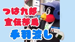 【手羽渡し】つば九郎さんからおにぎりを【部宣伝鳥】 [upl. by Eizzik]