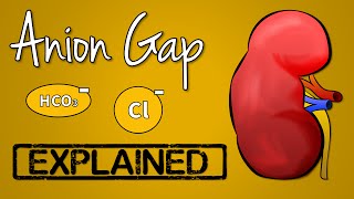 Anion Gap EXPLAINED [upl. by Pearman549]