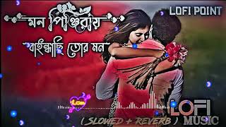 মন পঞজরয় বইনধছ তর মন Mon pinjirai baindachi tor mon LOFI SLOWED  REVERB [upl. by Ainattirb]