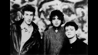 The Icicle Works  Live Merseyside Music Show Royal Court Liverpool 15th March 1983 [upl. by Eahs]