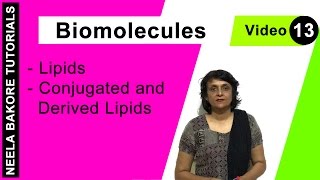 Biomolecules  NEET  Lipids  Conjugated and Derived Lipids  Neela Bakore Tutorials [upl. by Anaylil126]