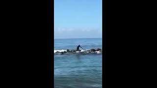 MAN EATEN BY CROCODILE IN PORTMORE HELLSHIRE FULL VIDEO [upl. by Arahset294]