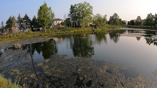 Bass Fishing with Topwater Lures  September SMASH Fest [upl. by Elyac]