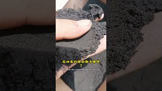 Pulverized coal does this thousands of tons [upl. by Iolanthe]