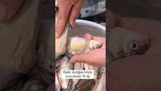 Best method for Fish cutting 👌 😋 [upl. by Sokairyk]