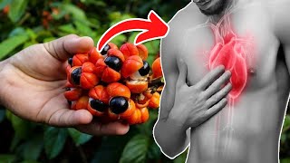 Top 8 Surprising Guarana Benefits  Health Benefits of Guarana [upl. by Seigel]