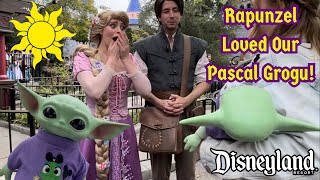 Rapunzel amp Flynn Rider Meet Pascal Grogu in Fantasyland [upl. by Wayland]