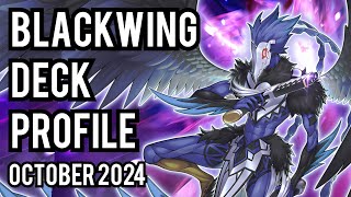 TOP 4 Blackwing Deck Profile OCTOBER 2024 [upl. by Ninaj869]