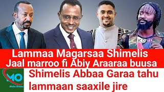 Obbo Lammaan Shimalis Abbaa Garaa tahu saaxile iccitii Jabdu bate  Moha Oromo [upl. by Ferren132]