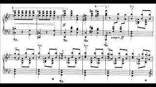 SaintSaëns  Liszt Danse Macabre Op40S555 Cohen [upl. by Williamson]