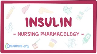 Insulin Nursing Pharmacology [upl. by Anelat]