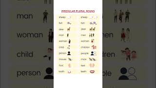 IRREGULAR PLURAL NOUNS✍️ irregular plural nouns shorts education vocabulary englishspeaking [upl. by Aynwat]