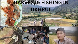 HARVEST AND FISHING IN SEIPAIKONG UKHRUL [upl. by Ruthe]