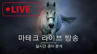 마테크경마11월 3일 일요일 부산 서울실시간 분석방송 [upl. by Russom]