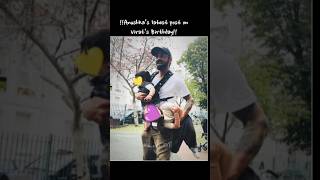 Wait Till end 🔥 Virat Kohli Birthday Edit  First Glimp of Akaay kohli our junior king shorts [upl. by Alletniuq]