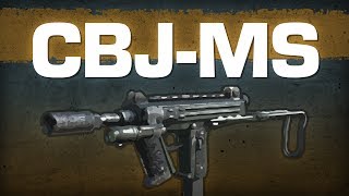 CBJMS  Call of Duty Ghosts Weapon Guide [upl. by Haissi]