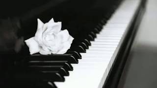 Chopin  Nocturne Op 9 n 2 Maurizio Pollini [upl. by Radley]