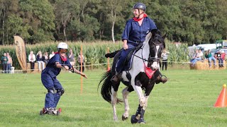 Horse Boarding  Flaeijel ‘23 [upl. by Lexine]