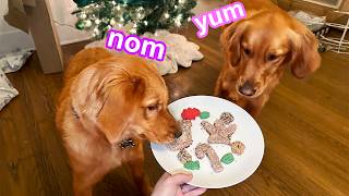 My Dogs Bake Christmas Cookies [upl. by Notsew]