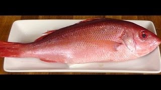 Mastering the Art of Cleaning and Cutting a Snapper How to Fillet a Fish Tell Freshness [upl. by Pickens]