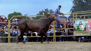 ESTAMPA DESTRUCTORA LOS DESTRUCTORES EN TEXCOCO [upl. by Lewes150]