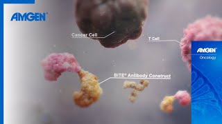 BiTE® Immunotherapy The Next Generation of Cancer Treatment [upl. by Aridni]