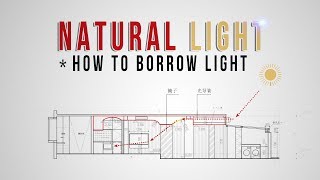 Architectural Tricks and Devices to Bring Natural Light Into Your Home [upl. by Aihsemaj]