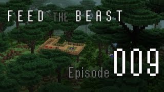 Minecraft Feed the Beast E009  Avidya  Coestar [upl. by Yticilef207]