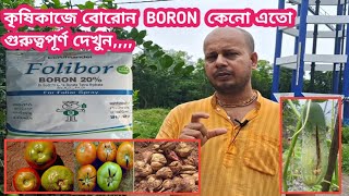 বোরোন BORON এর সঠিক ব্যবহার জেনে নিন  মাটিতে ও Spray হিসেবে বোরোন এর ব্যবহার [upl. by Zollie]