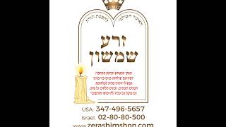 Zera Shimshon  Vayera  Classes on TZS in English  Rabbi Shalom Perel [upl. by Navi]