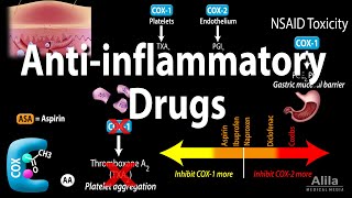 Antiinflammatory NSAIDs Drugs Pharmacology Animation [upl. by Allister]