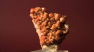 VANADINITE JC Holmes Claim Arizona [upl. by Enimassej]